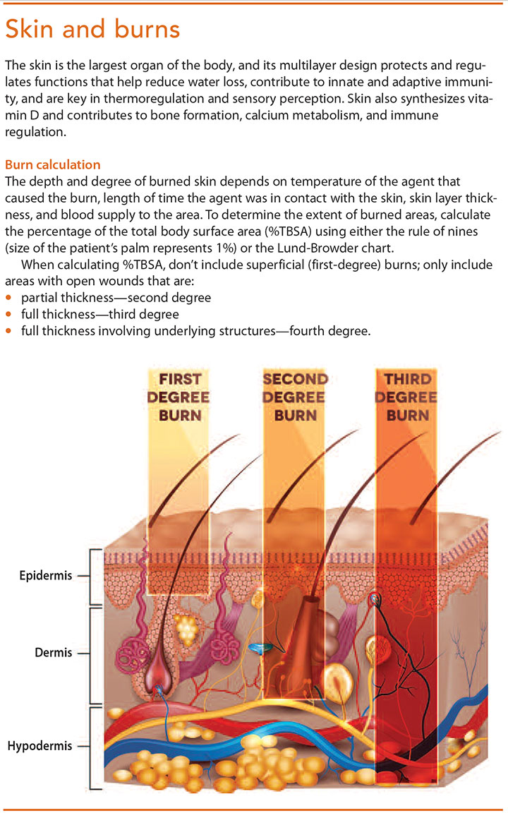 Skin Burn Temperature Chart