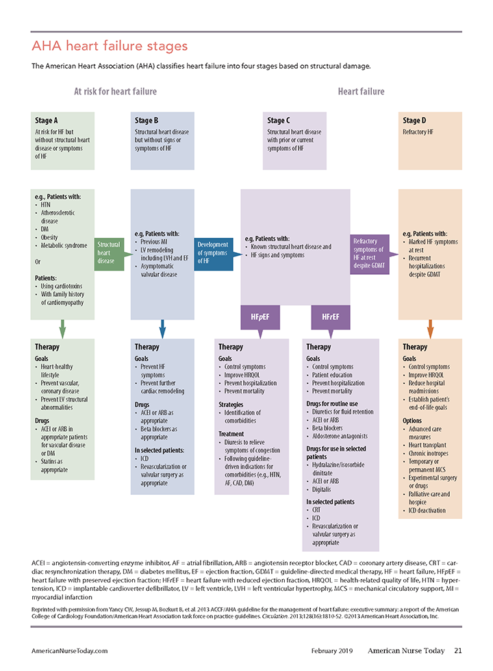 Drug Classifications Chart For Nurses